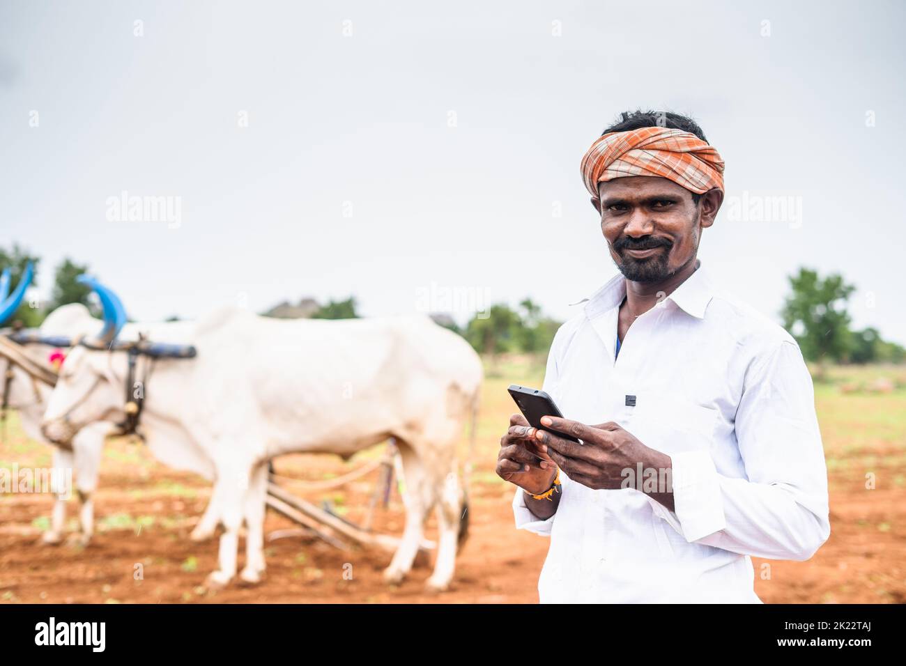 Portrait of happy smiling farmer with mobile phone looking at camera in fron ploughing cattlel at farmland Stock Photo