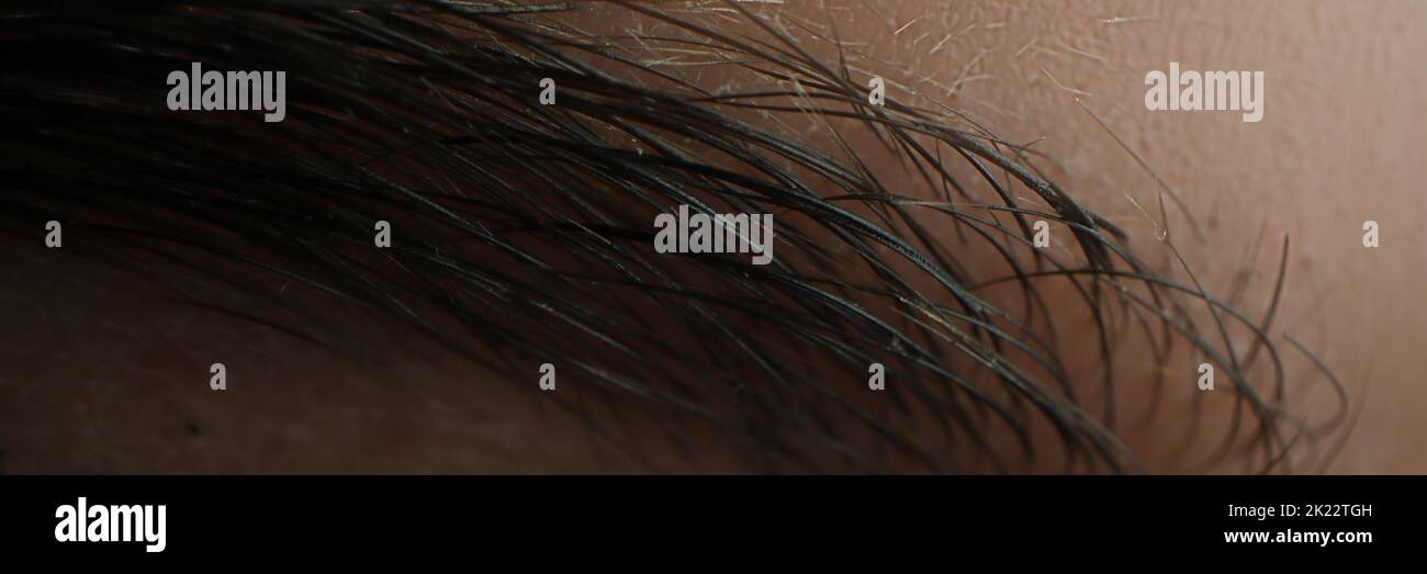 Female eyebrow dyed with black henna closeup Stock Photo