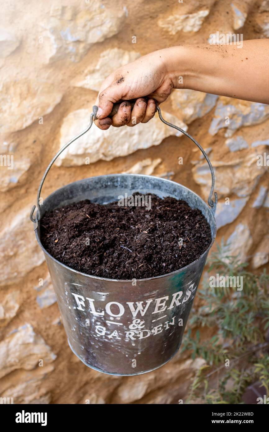 Woman's hand holding bucket of gardening soil. Elements of domestic