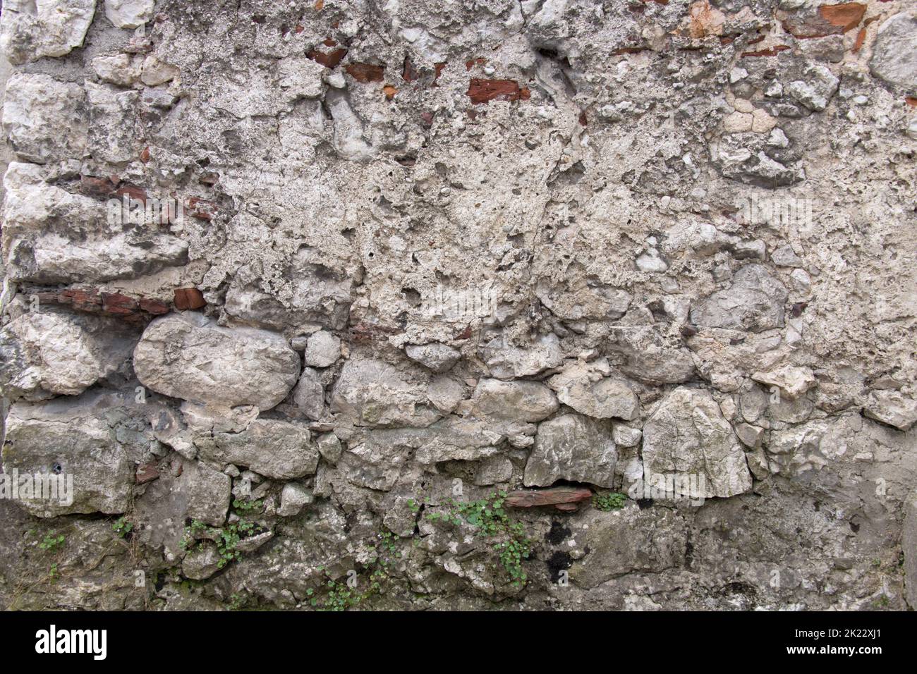 Close up partial view of a very old wall masoned with simple round creek stones with partially chipped plaster and growing green weeds as a concept fo Stock Photo