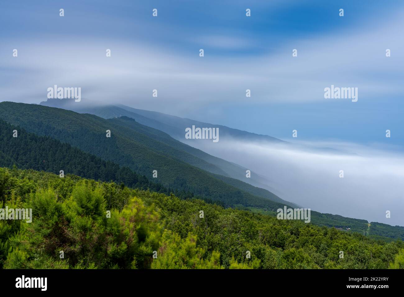 Sea of clouds over the pine tree forest, long exposure Stock Photo
