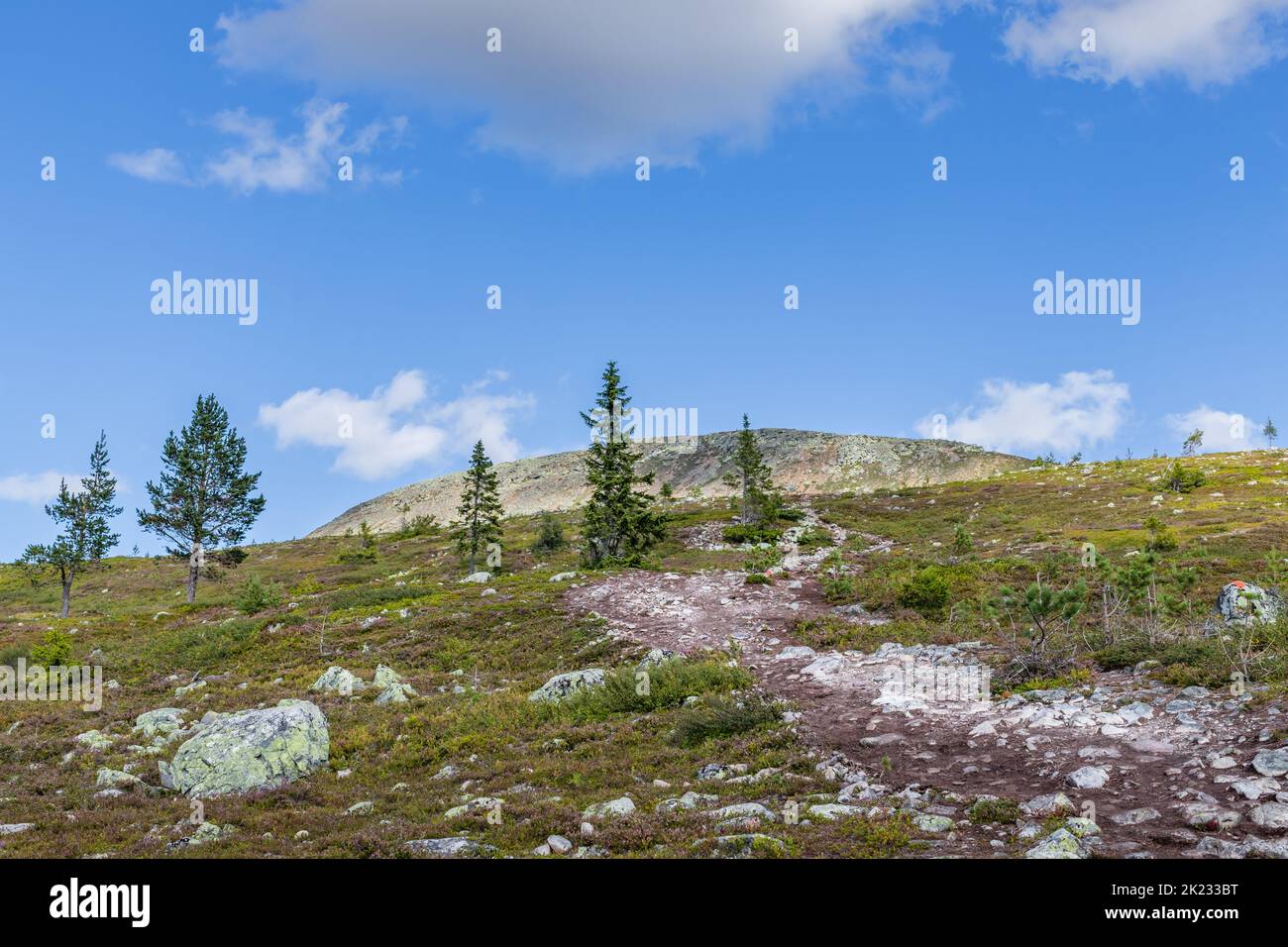 Idre, Sweden: hiking trail in the mountains Stock Photo