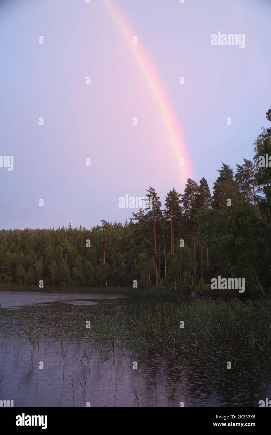Rainbow reflected in the lake when it rains. in the background forest, on the lake reeds and water lilies. Nature photos from Sweden Stock Photo