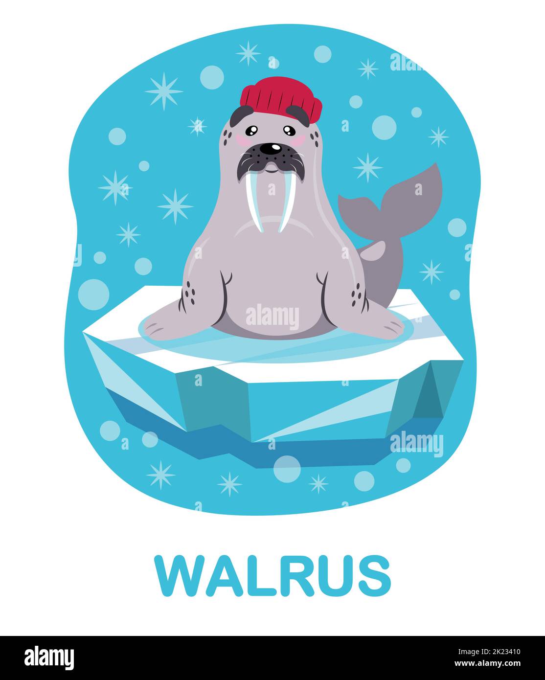 cartoon walrus, ice floe, blue background. Cards for teaching children