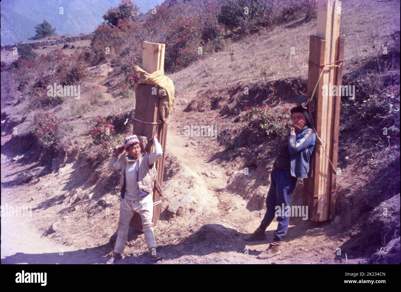 Pithoos (People Carrying Load on their Back's) Dalhousie, Himachal Pradesh Stock Photo