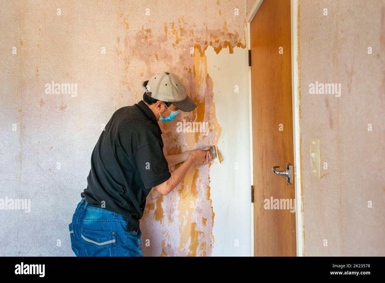 Man wearing facemask and removing wallpaper inside an old house Stock