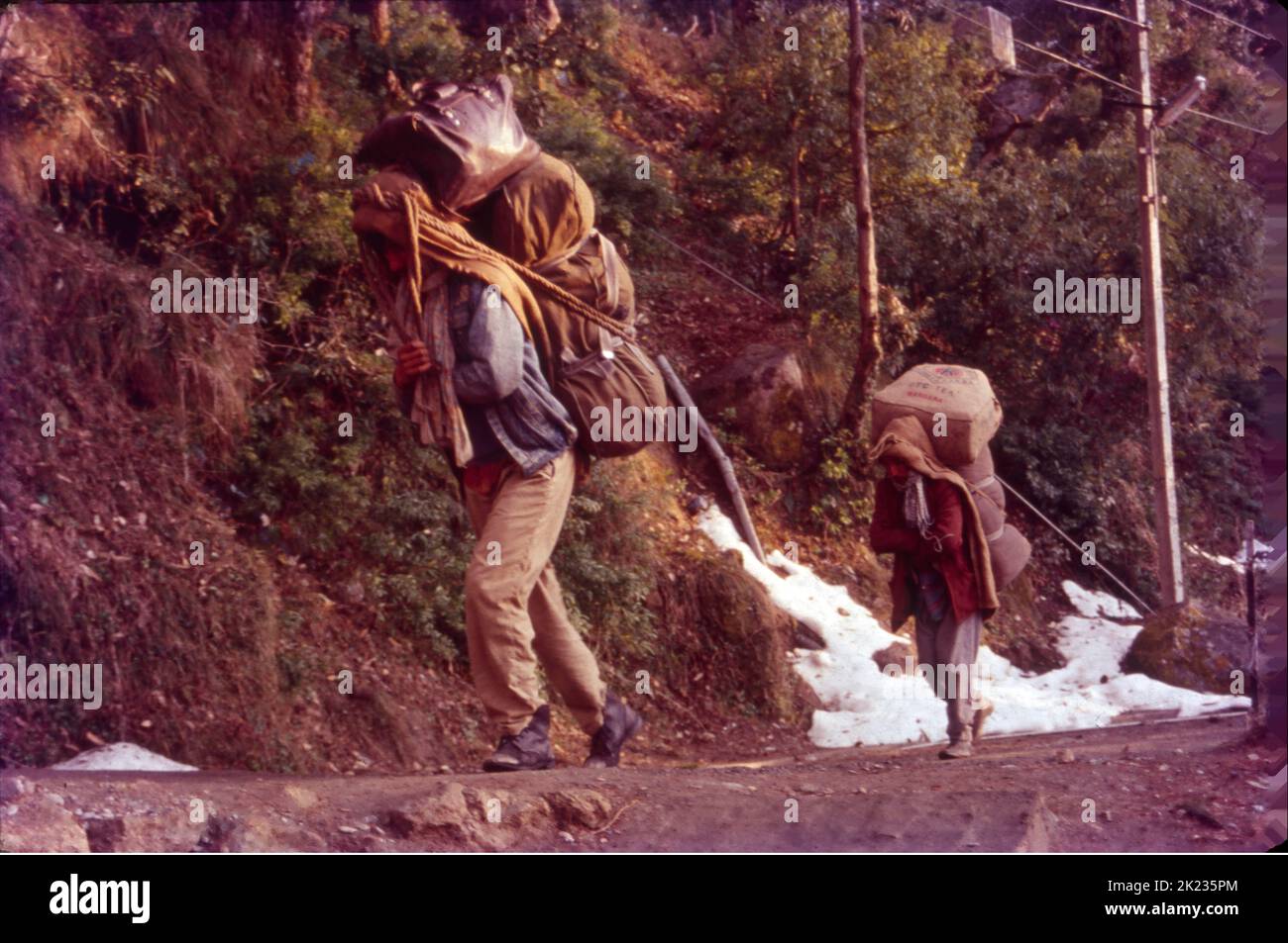 Pithoos (People Carrying Load on their Back's) Dalhousie, Himachal Pradesh Stock Photo