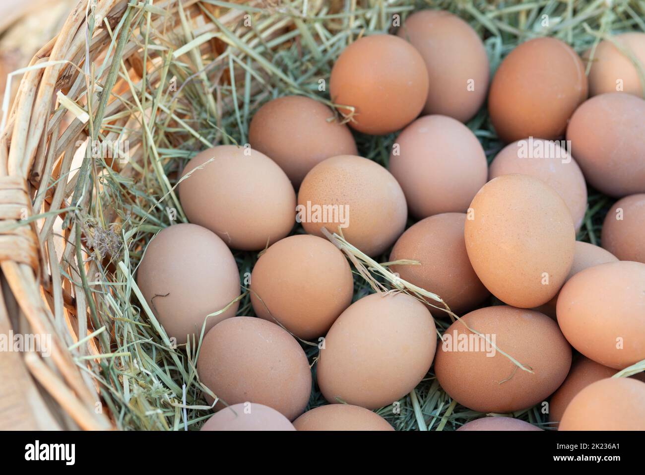 Italy, Lombardy, Baked Eggs in the Basket With Hay Stock Photo