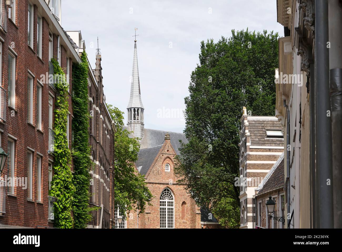 View on the Grote kerk or Jacobijnerkerk in Leeuwarden build in the 13th century. The church contains a burial vault of the Frisian Nassau's. Stock Photo