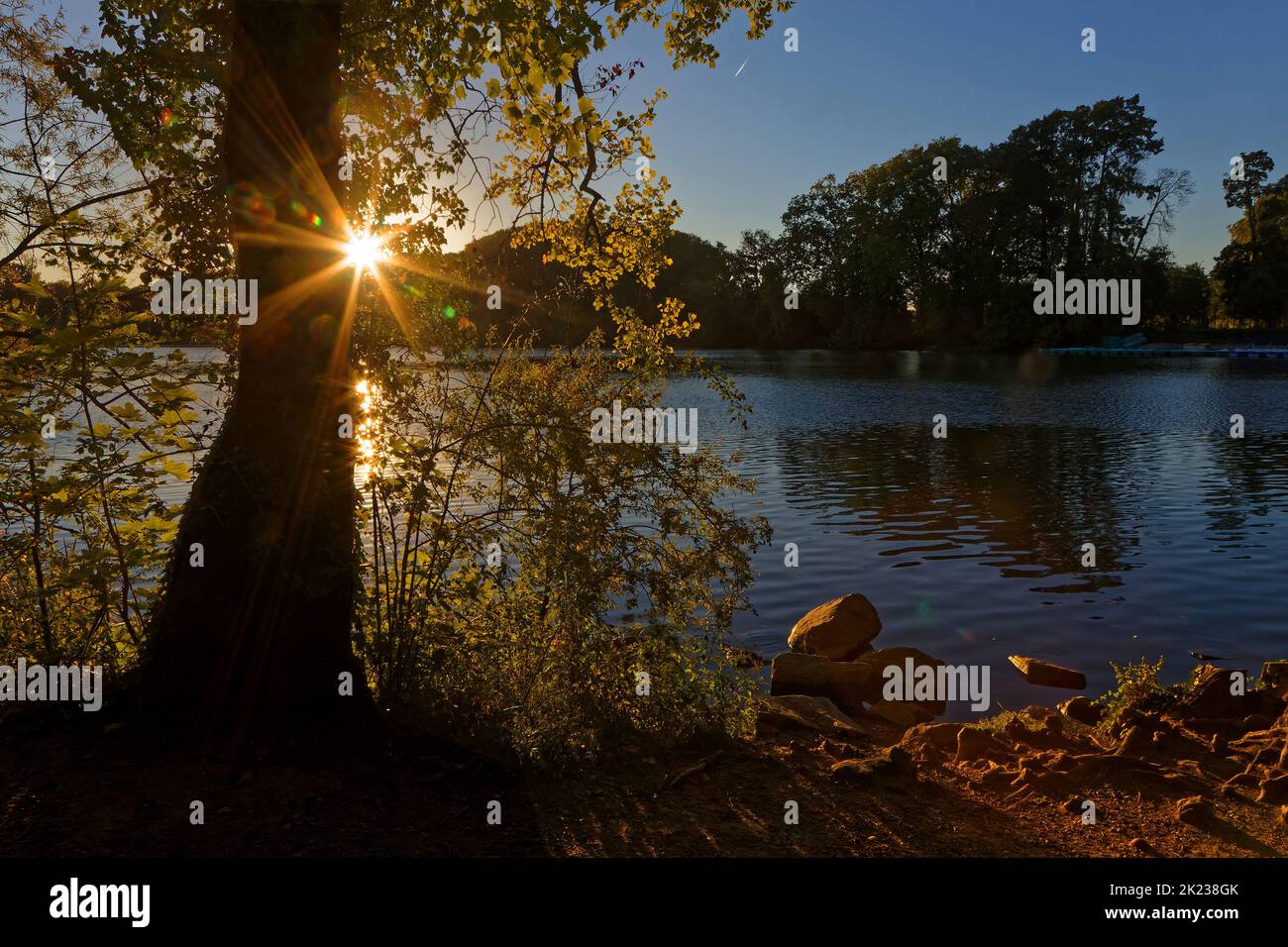 Sun rises through the trees over the lake of Parc de la Tête d'Or Stock Photo