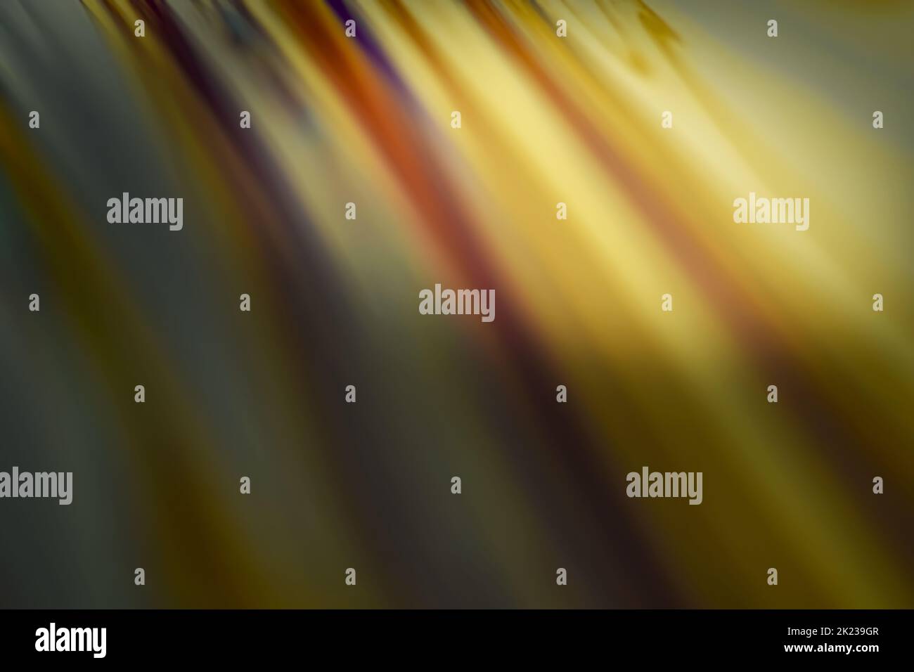 Selective focus multicolor abstract сloseup surface of soap bubble Stock Photo