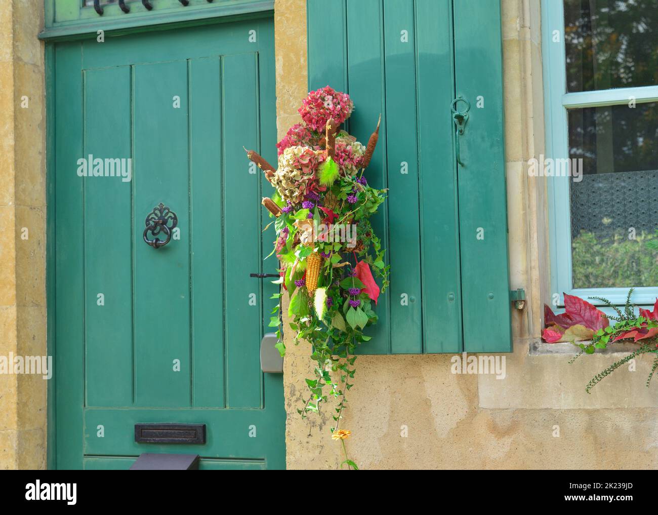 A composition of dried flowers hydrangeas, ivy, cane corn and berries
