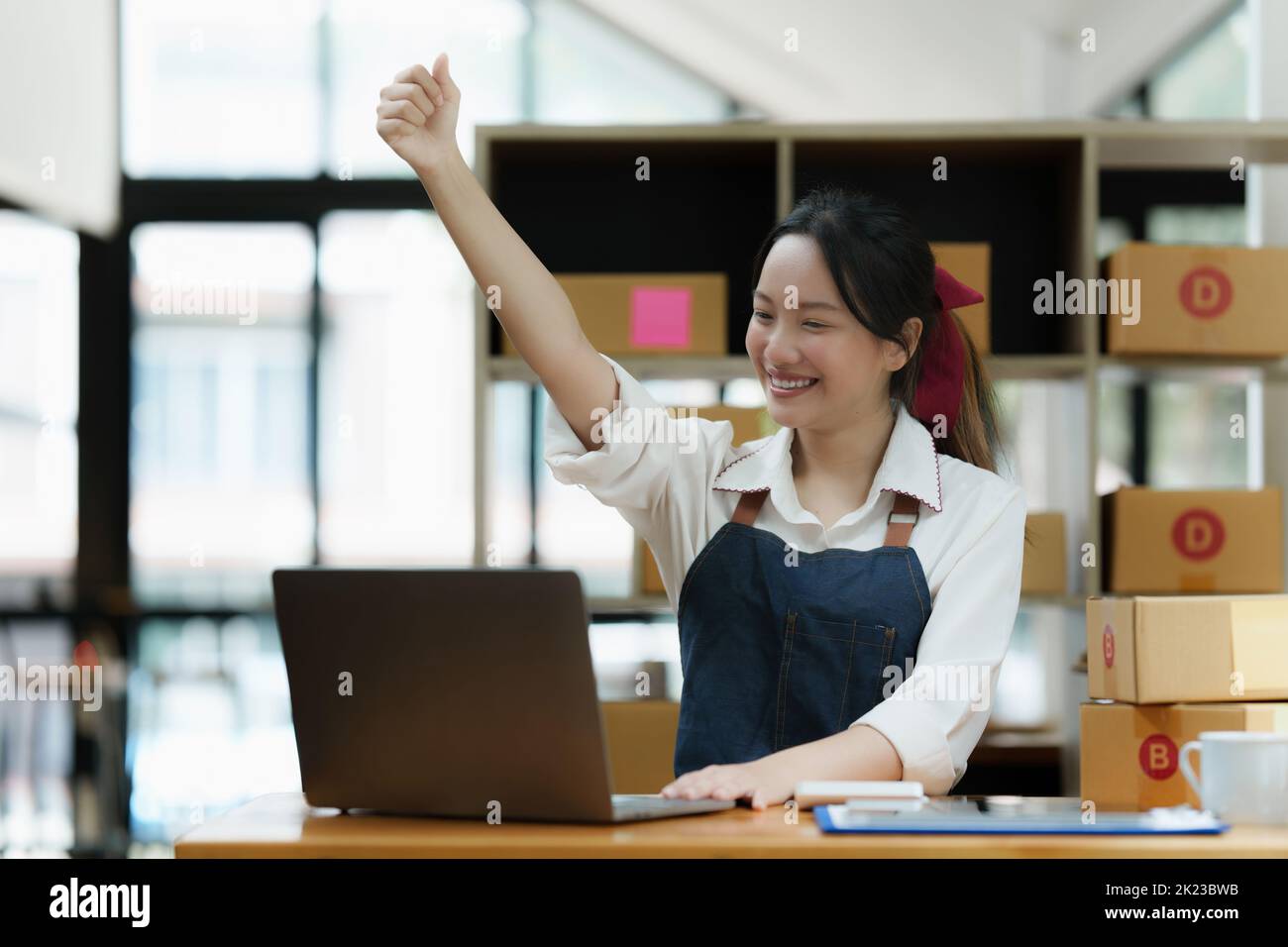 Asian small business owner working at home office. Business retail