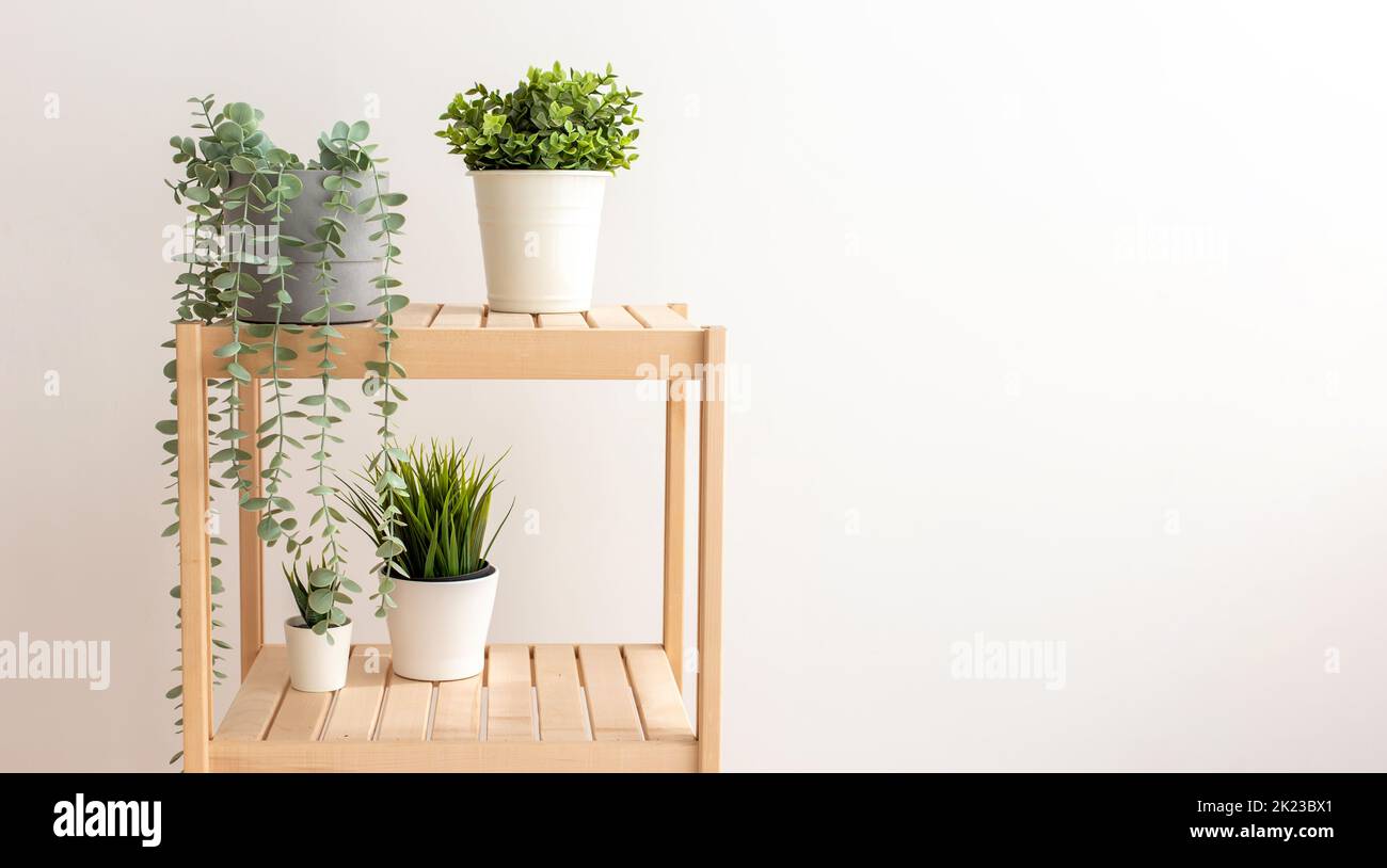 Various artificial succulents with exotic plants stand in white ceramic
