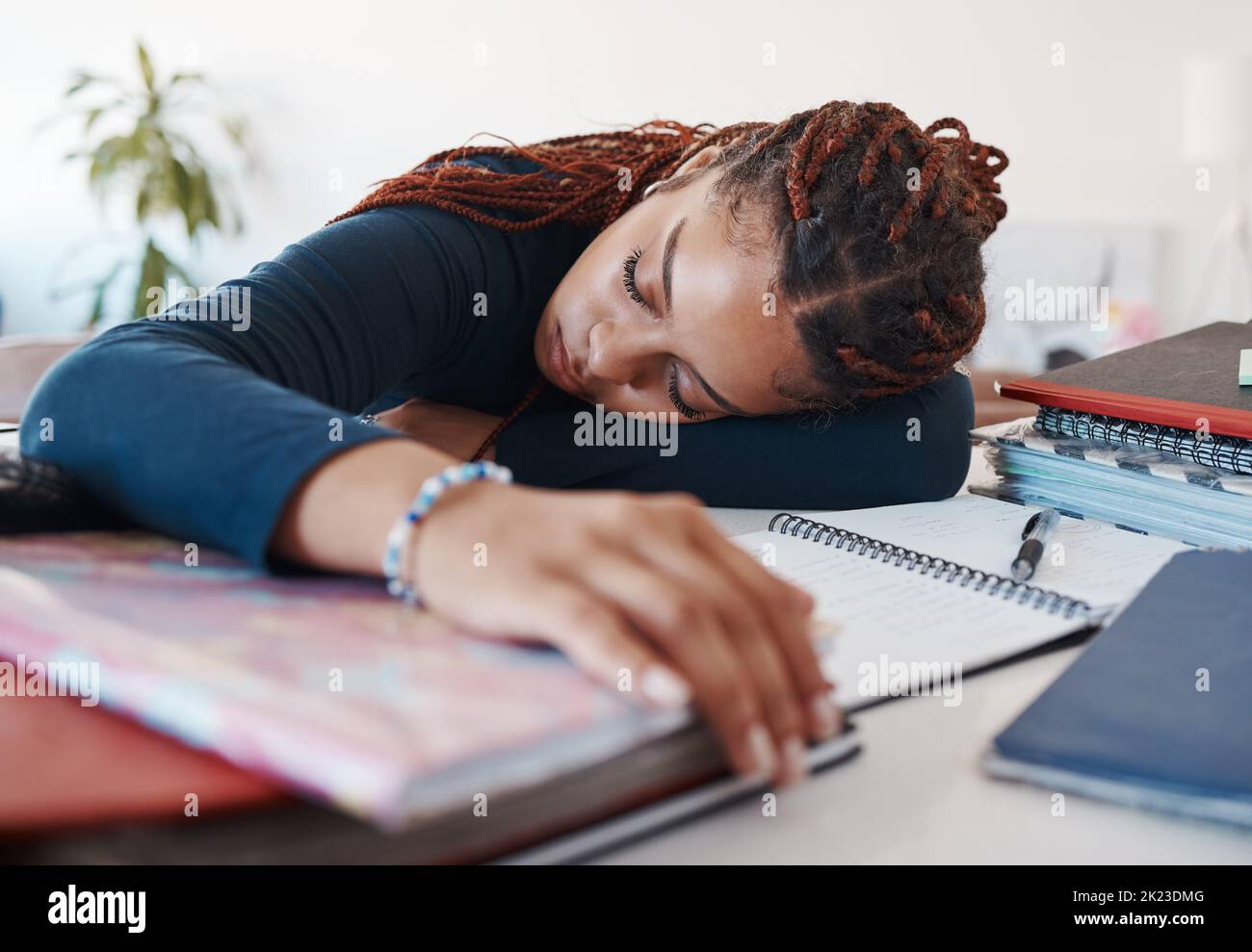 Tired student sleeping at her desk while studying for university or college exams and test. Burnout young woman lying on desk, fatigue or sleep during Stock Photo