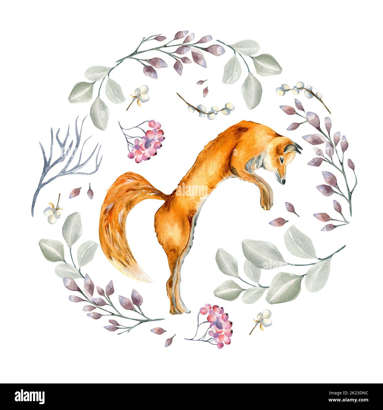 Christmas circle with fox watercolor illustration isolated on white ...