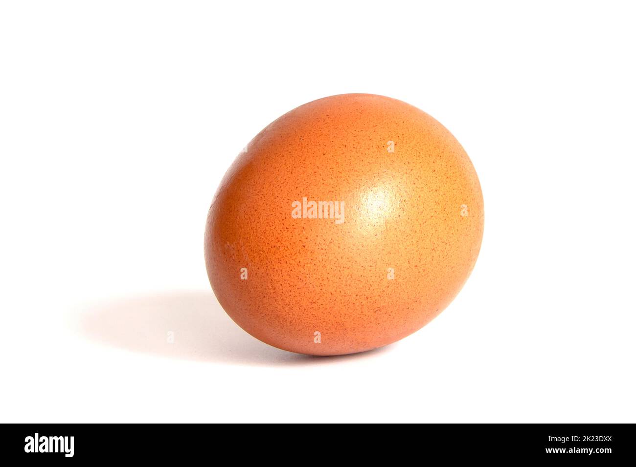 single brown chicken egg isolated on a white background Stock Photo - Alamy