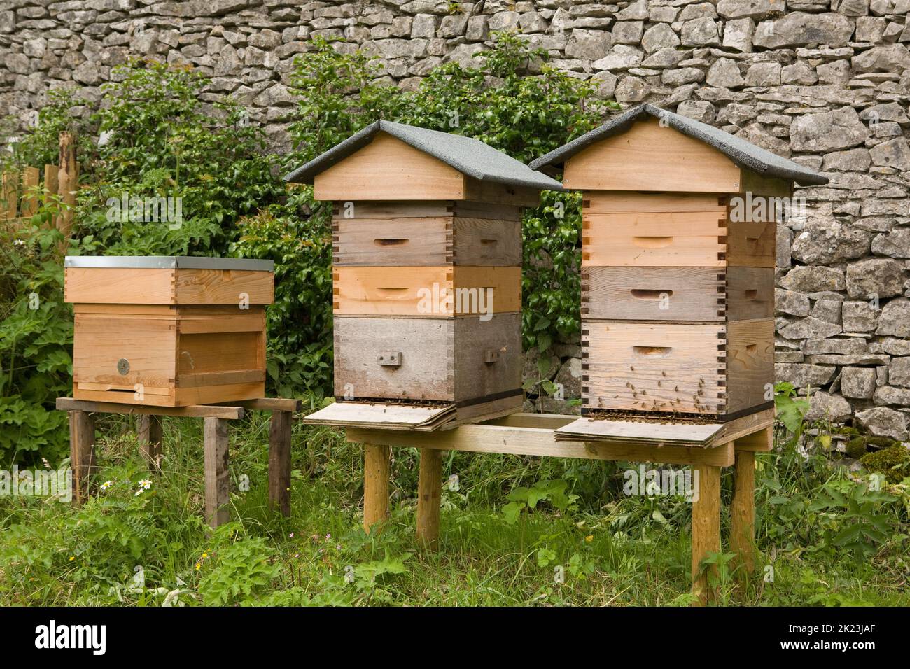 Bee hives in England, UK Stock Photo Alamy