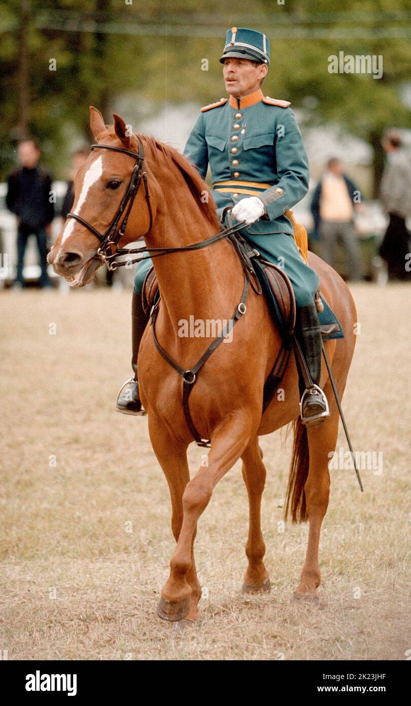 Eventing at Duseborg, Östergötland county, Sweden. Fälttävlan på Duseborg, östergötland. Stock Photo