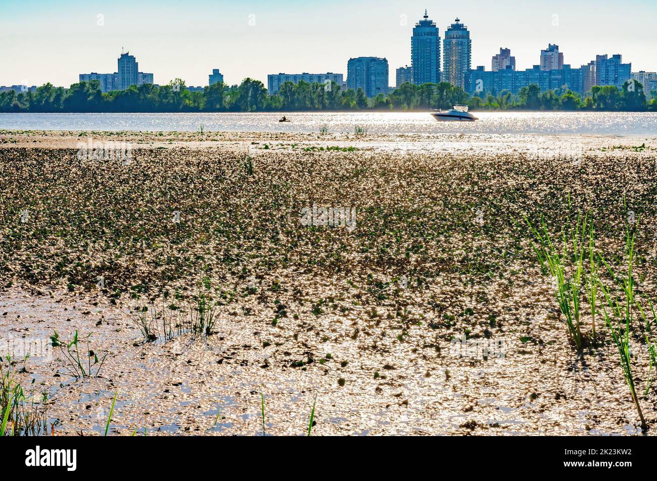 The buildings of the Obolon district, across the Dnieper River in Kiev, Ukraine, seen from Muromets Park. Stock Photo
