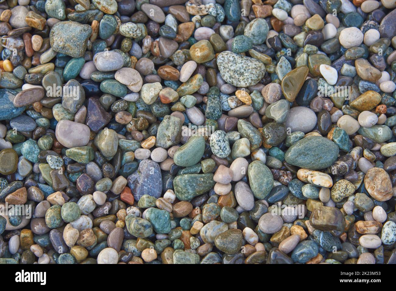 Full frame sea wet pebbles as a backdrop.  Stock Photo