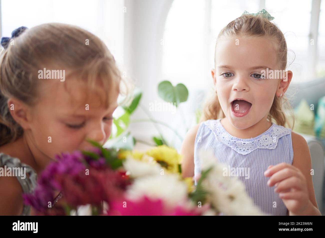 Excited, wow and children looking surprised looking at flower bouquet surprise for birthday, mothers day or valentines day. Girl kids or sibling Stock Photo
