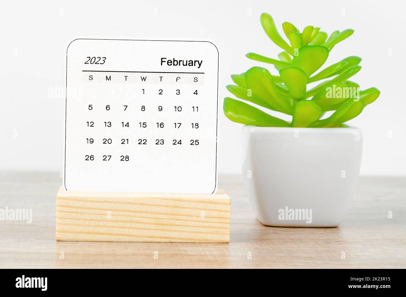 February 2023 Monthly calendar for 2023 year with plant pot on wooden table. Stock Photo