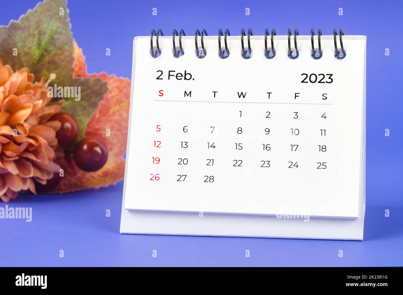February 2023 Monthly desk calendar for 2023 year with flower on purple background. Stock Photo