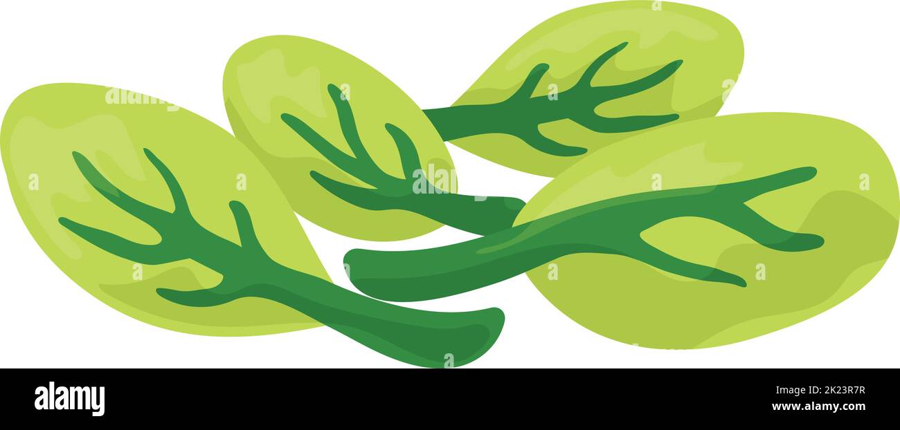 Spinach leaves. Fresh healthy vegetable. Vegan food Stock Vector Image ...