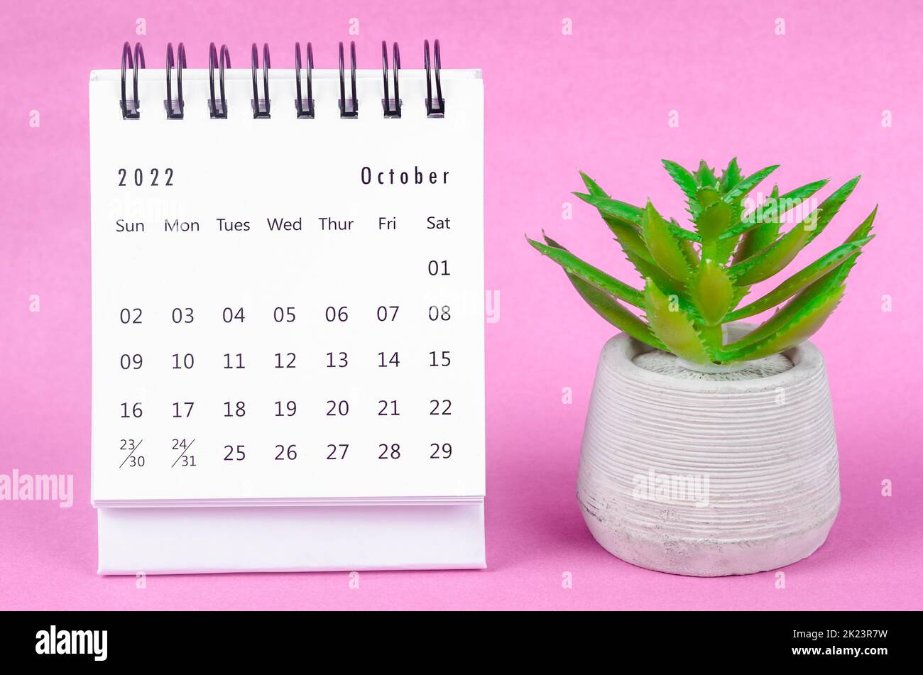 October 2022 Monthly desk calendar for 2022 year with plant pot on pink background. Stock Photo