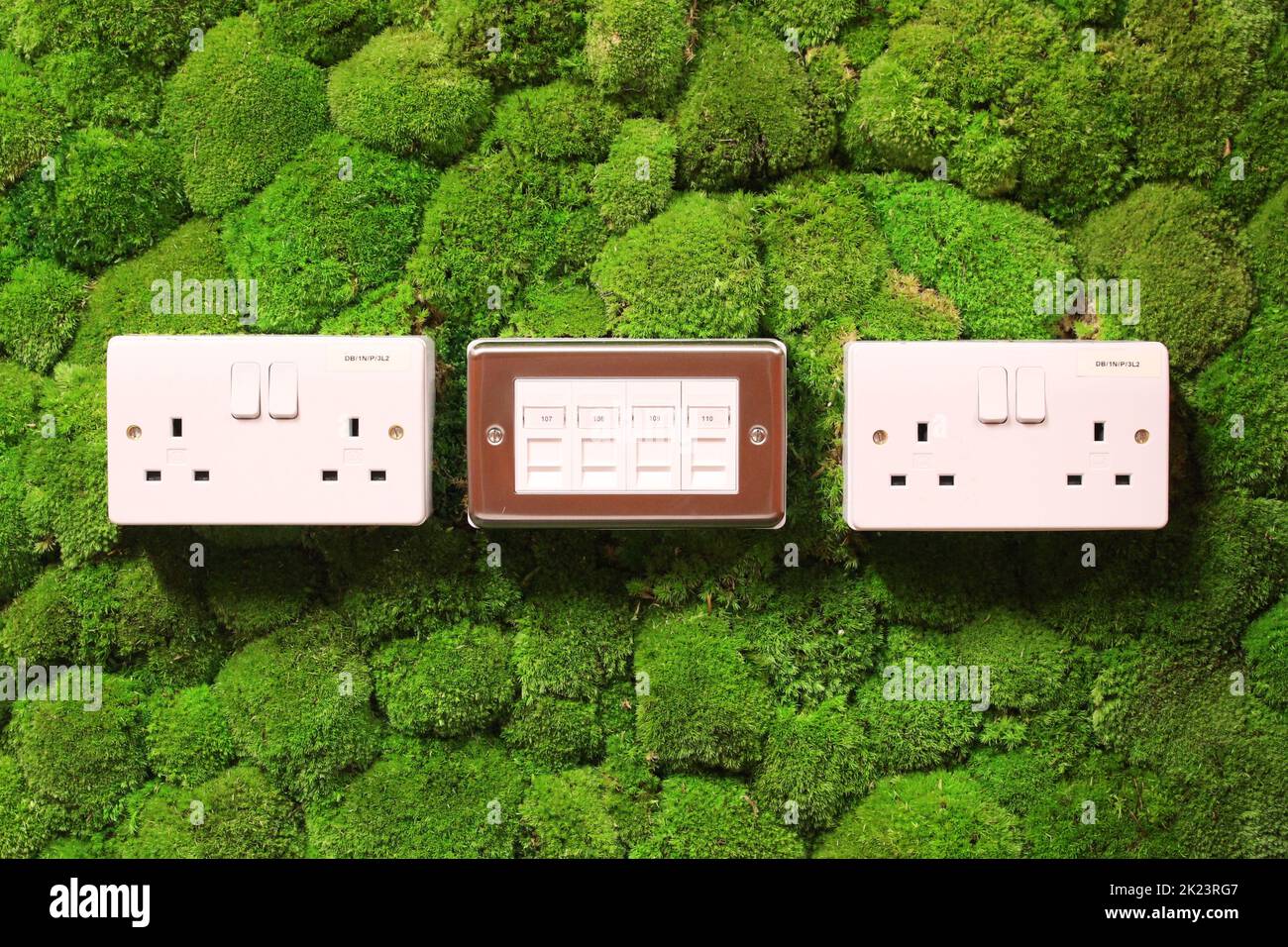 Green energy: plug sockets in a living moss wall. Friends of the Earth HQ, London (2015) Stock Photo