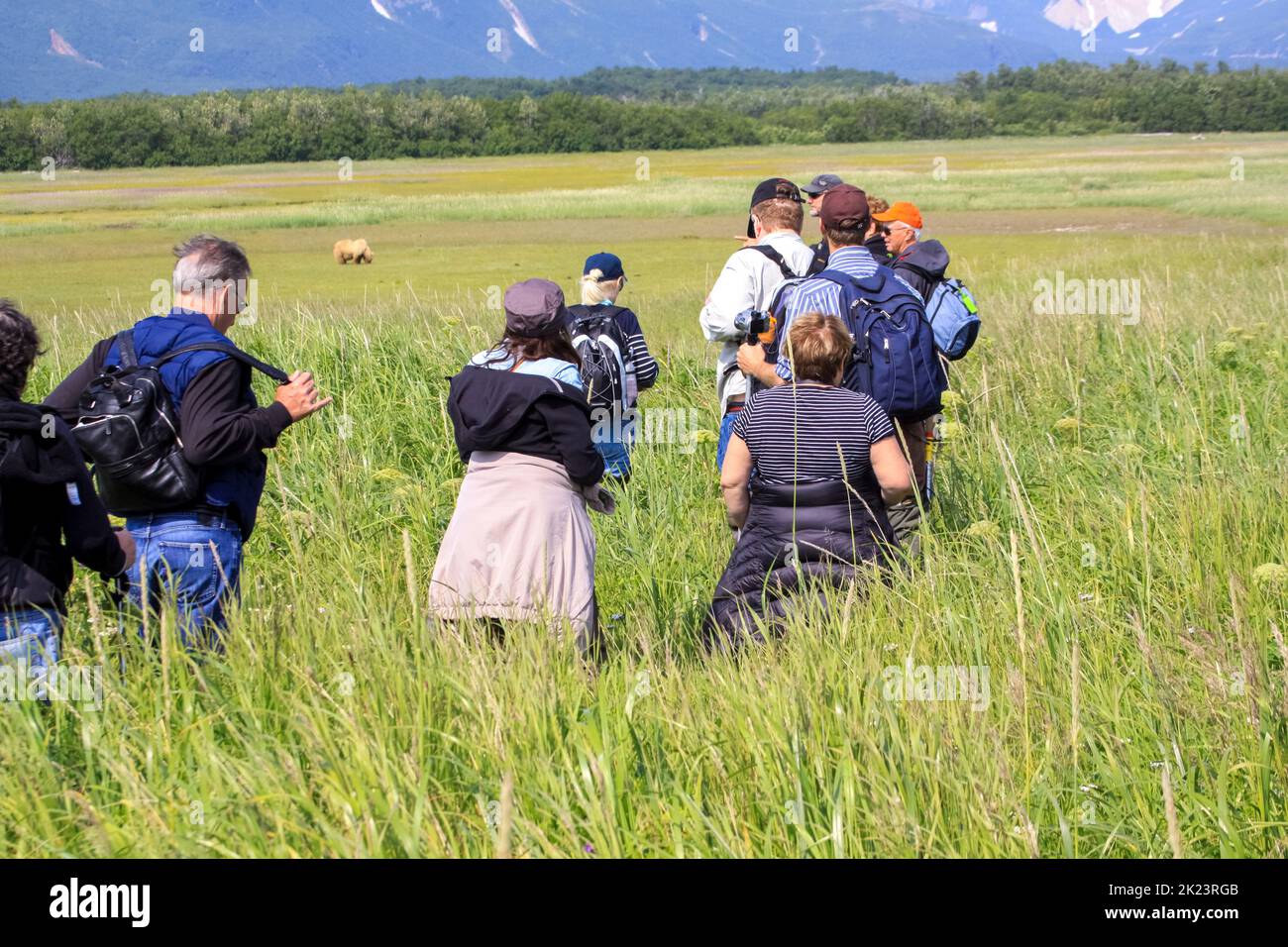 A group of tourists during a Guided Wilderness Bear viewing tour at Katmai National Park, Alaska. Stock Photo