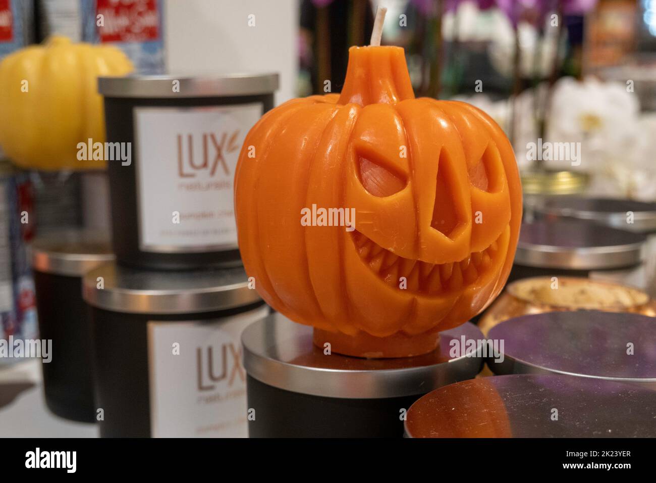 Whole Foods Market NoMad is located at 63 Madison Ave in New York City