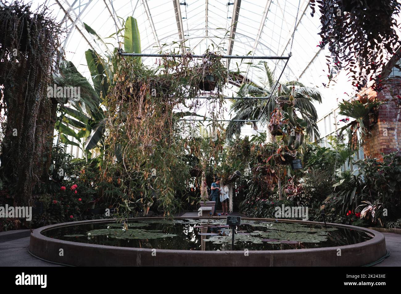 interior overview of a greenhouse Stock Photo - Alamy