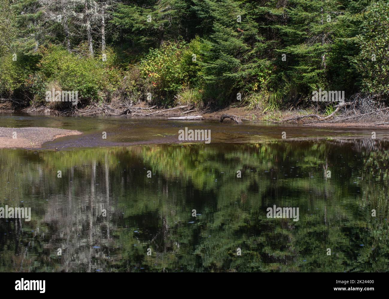 Whiskey River in Algonquin Park in late summertime Stock Photo