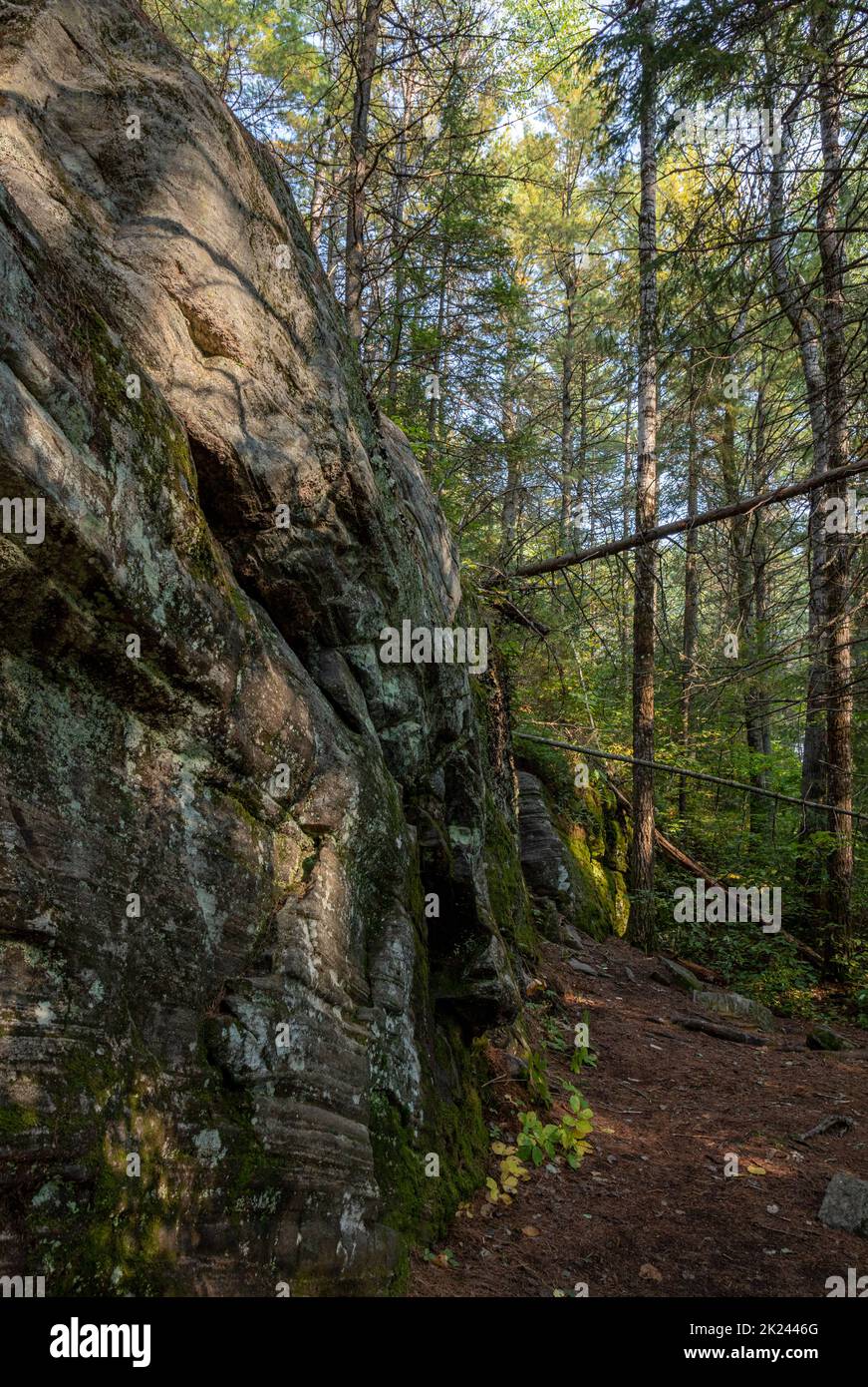 Trail through rock and forest in Algonquin Park Stock Photo