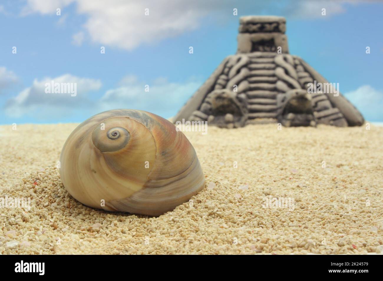 Shell with Pyramid, Shallow Depth of Field Stock Photo - Alamy