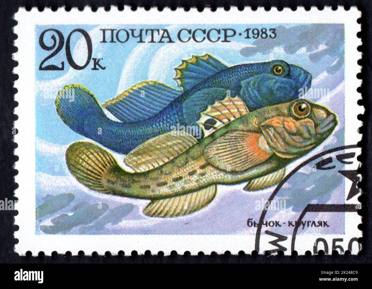Soviet Union - CIRCA 1983: stamp printed by Soviet Union shows Round goby circa 1983. Postage stamp with sea fishes. Neogobius melanostomus Black Sea Stock Photo