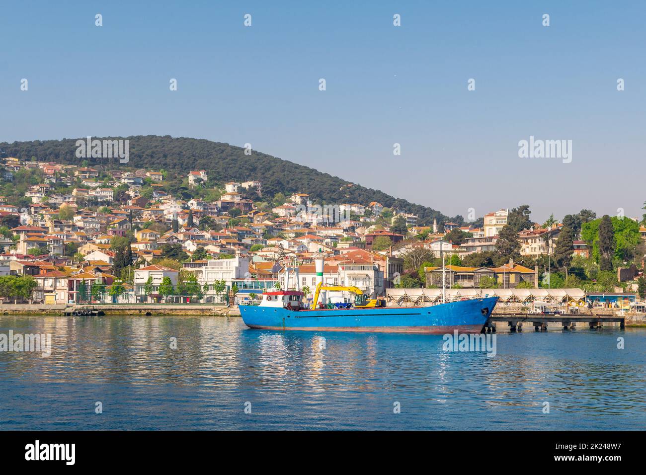 View of Heybeliada island from the sea with summer houses. the island is the second largest one of four islands named Princes' Islands in the Sea of M Stock Photo