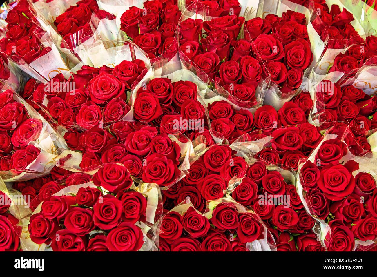 Bunch of red roses flowers sold on green market Stock Photo Alamy