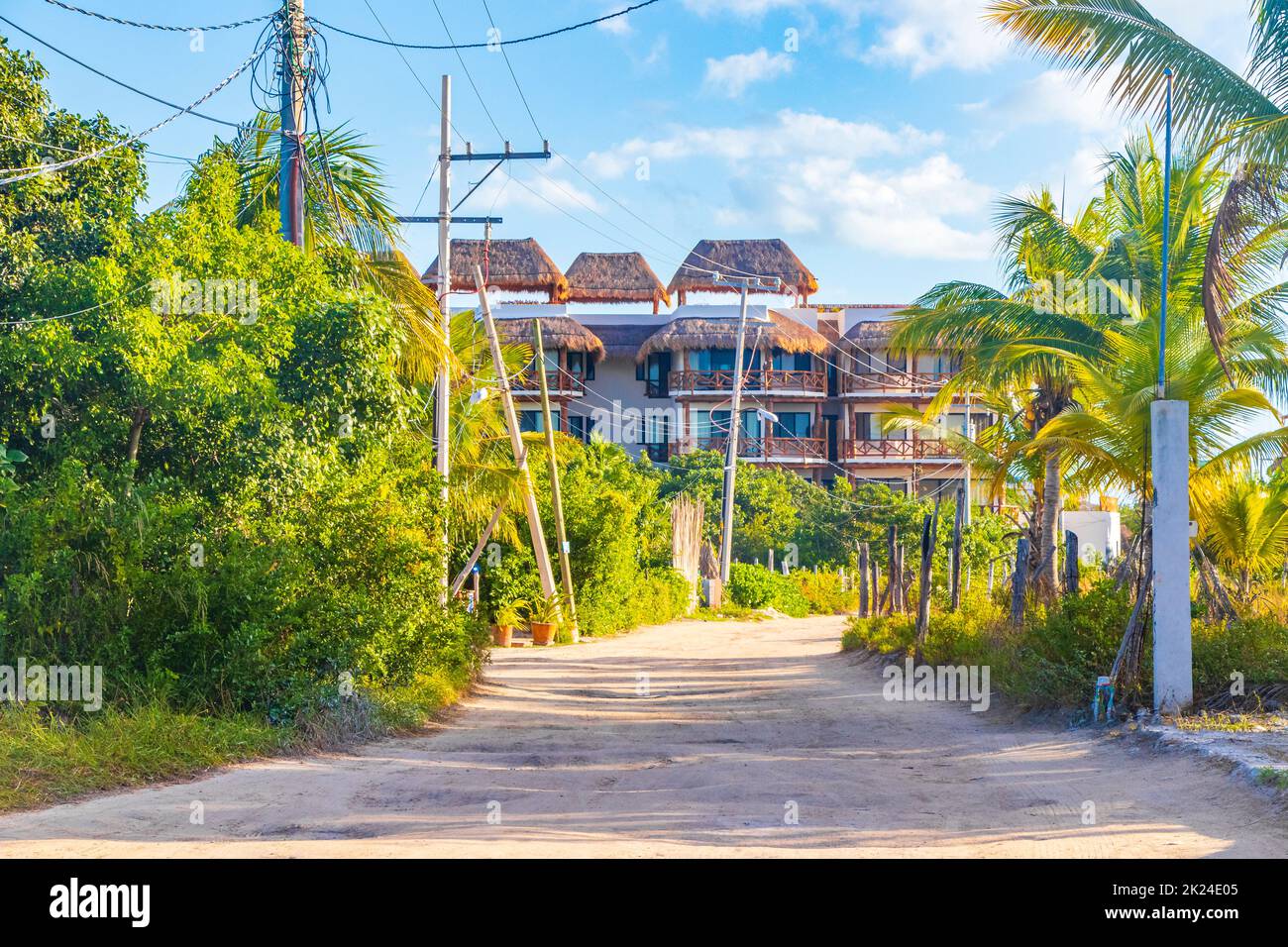 Sandy muddy road walking path and landscape view with tropical nature