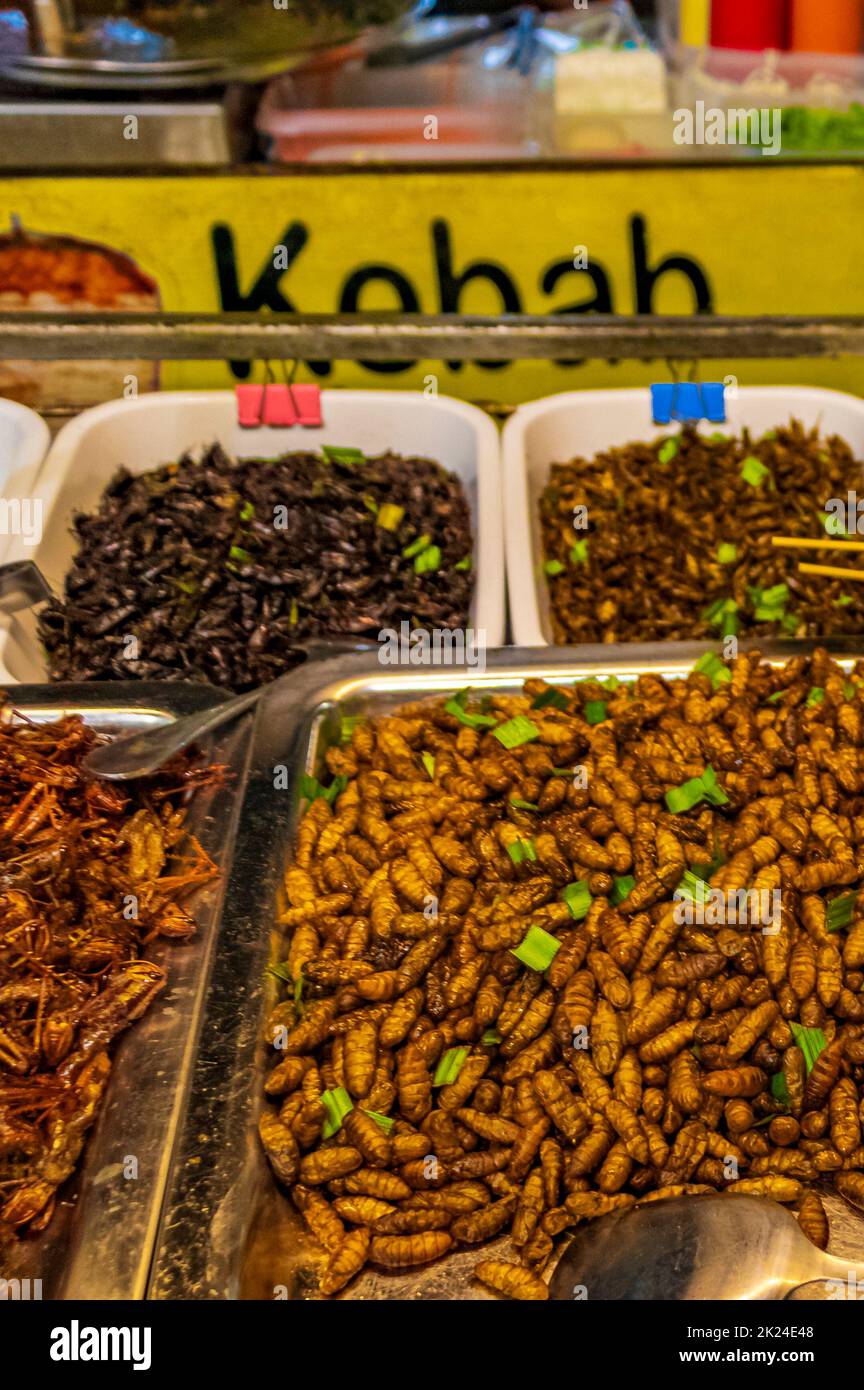 Bangkok Thailand 22. Mai 2018 Disgusting Thai food and sale of insects for eating consumption at Khaosan Khao San Kaosan Road in Bangkok Thailand. Stock Photo