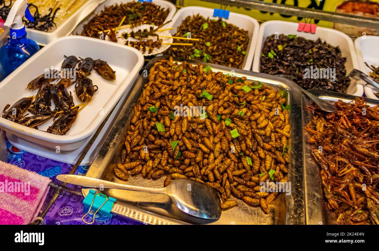 Bangkok Thailand 22. Mai 2018 Disgusting Thai food and sale of insects for eating consumption at Khaosan Khao San Kaosan Road in Bangkok Thailand. Stock Photo