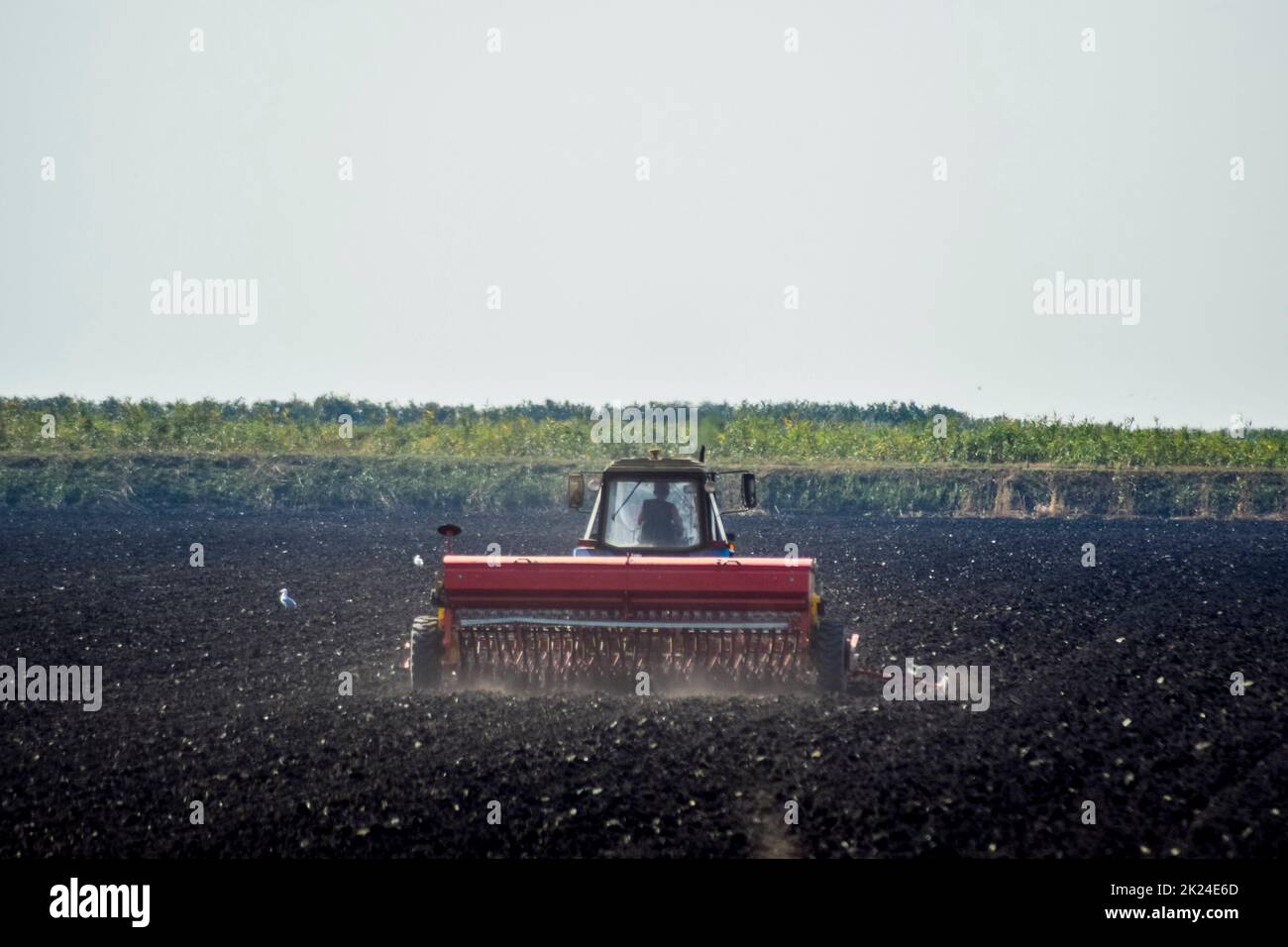 Tractor. Agricultural machinery tractor. Tractor with a seeder in the field. sowing seeds in the soil. Stock Photo