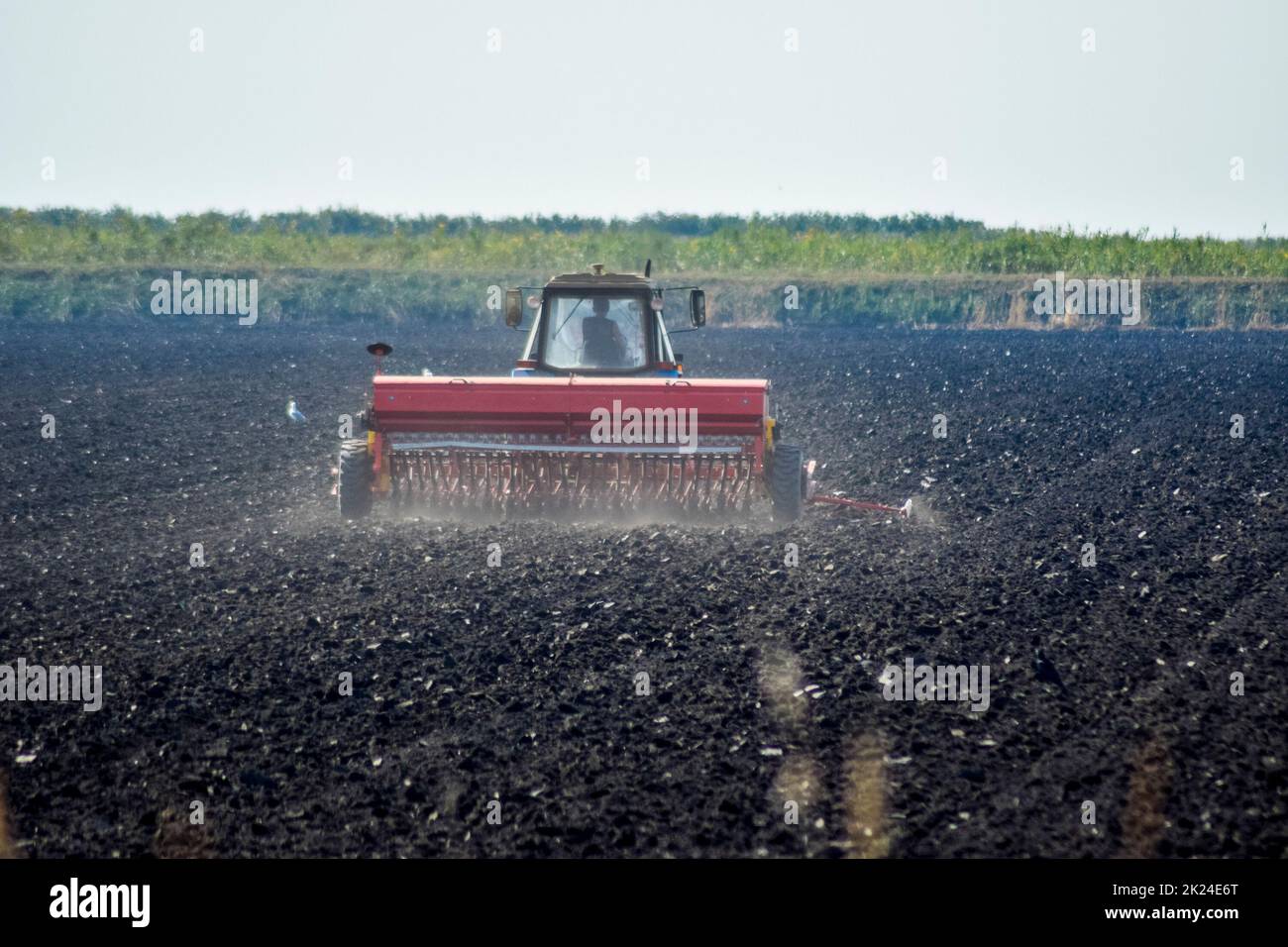 Tractor. Agricultural machinery tractor. Tractor with a seeder in the