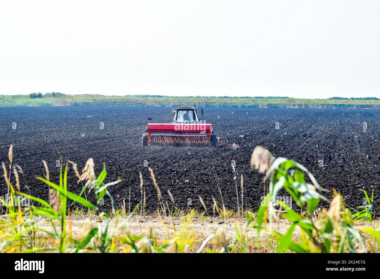 Tractor. Agricultural machinery tractor. Tractor with a seeder in the