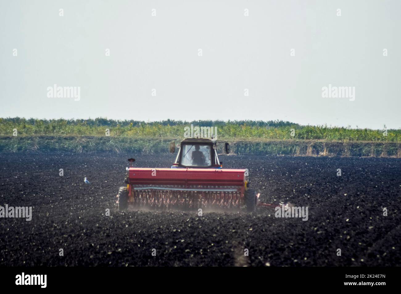 Tractor. Agricultural machinery tractor. Tractor with a seeder in the