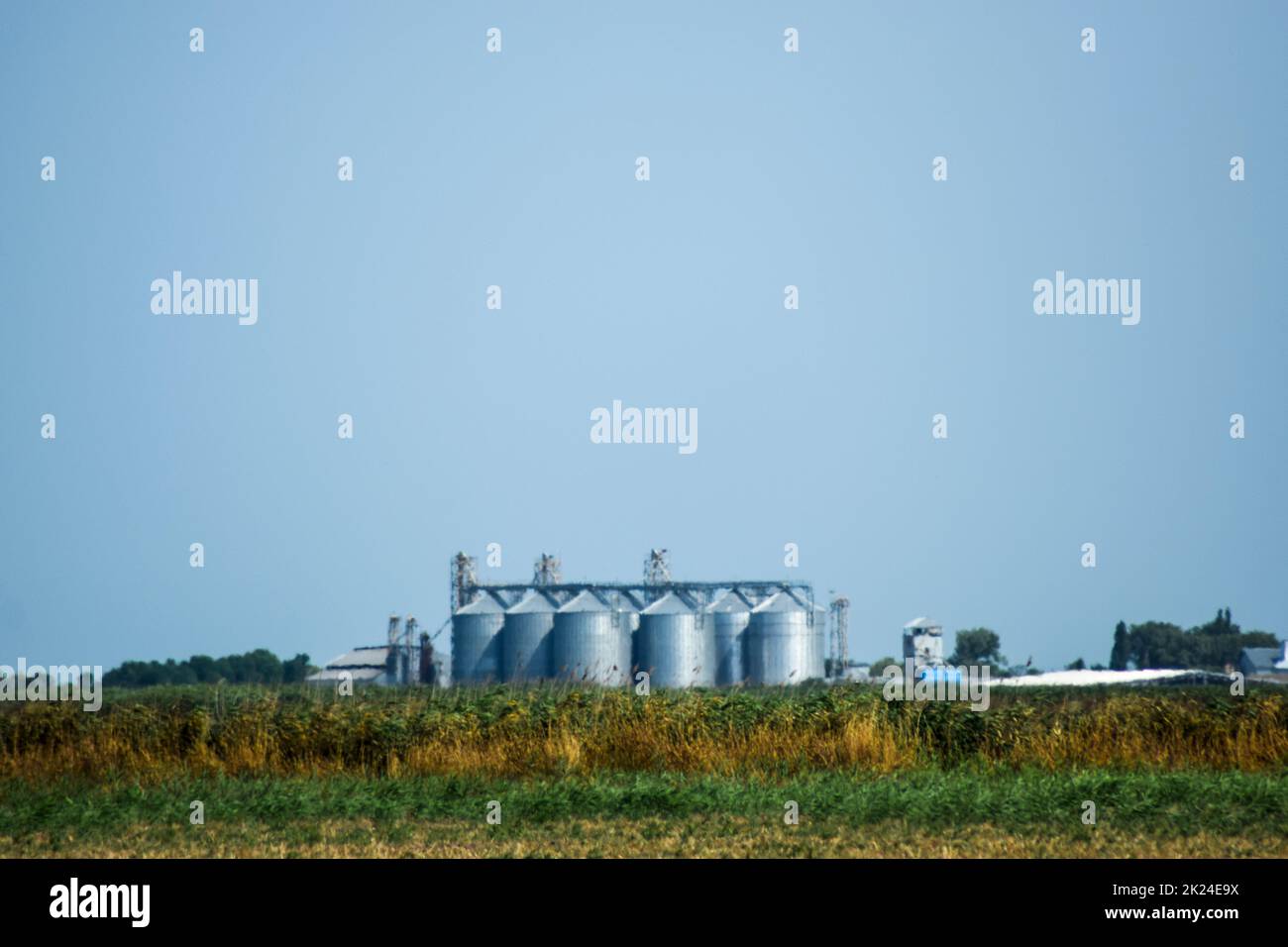 Plant for the drying and storage of grain. Rice plant in the middle of ...