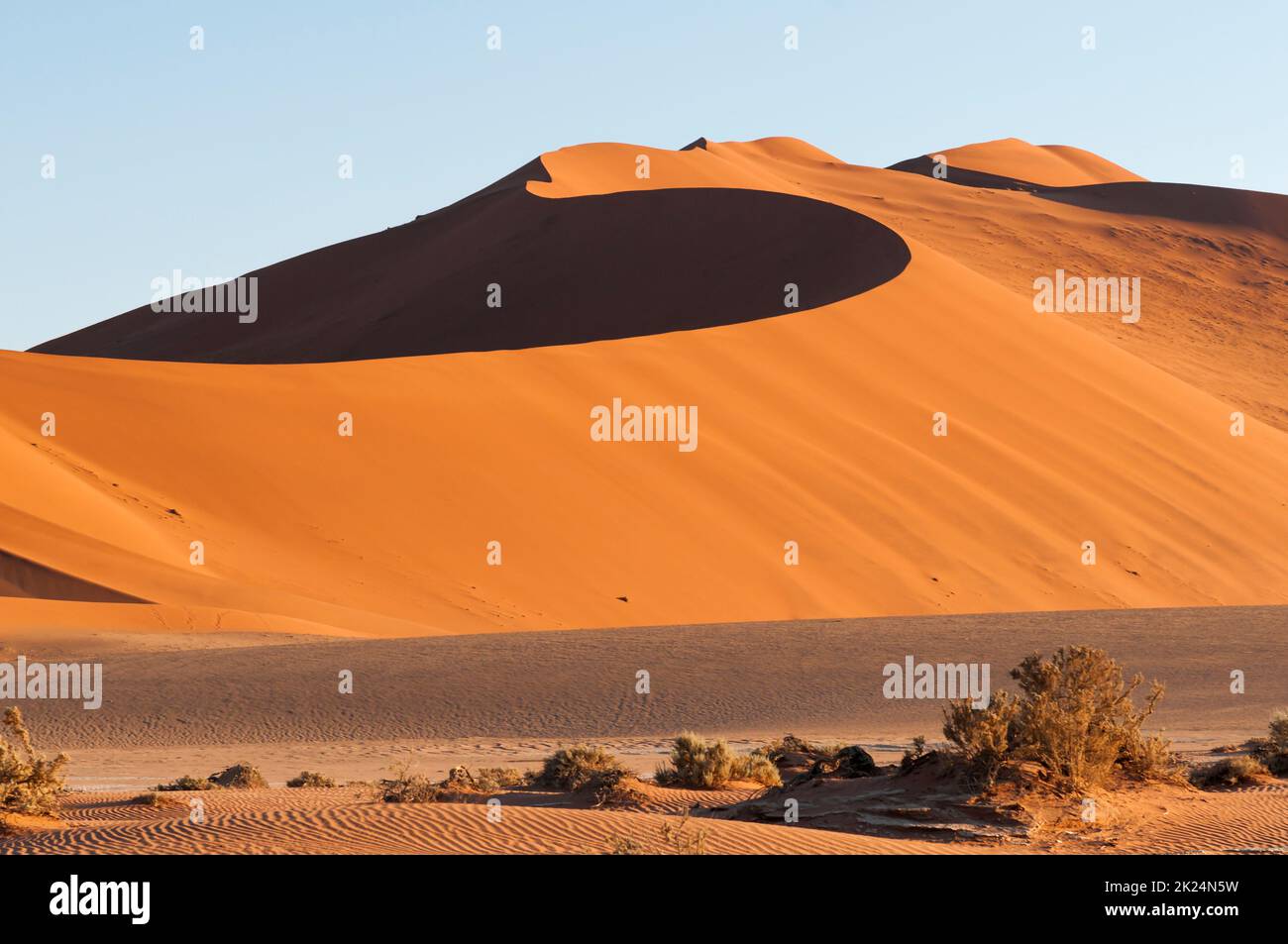 Duenen in der Namib Wueste bis zum Horizont, Namibia, Afrika. Stock Photo