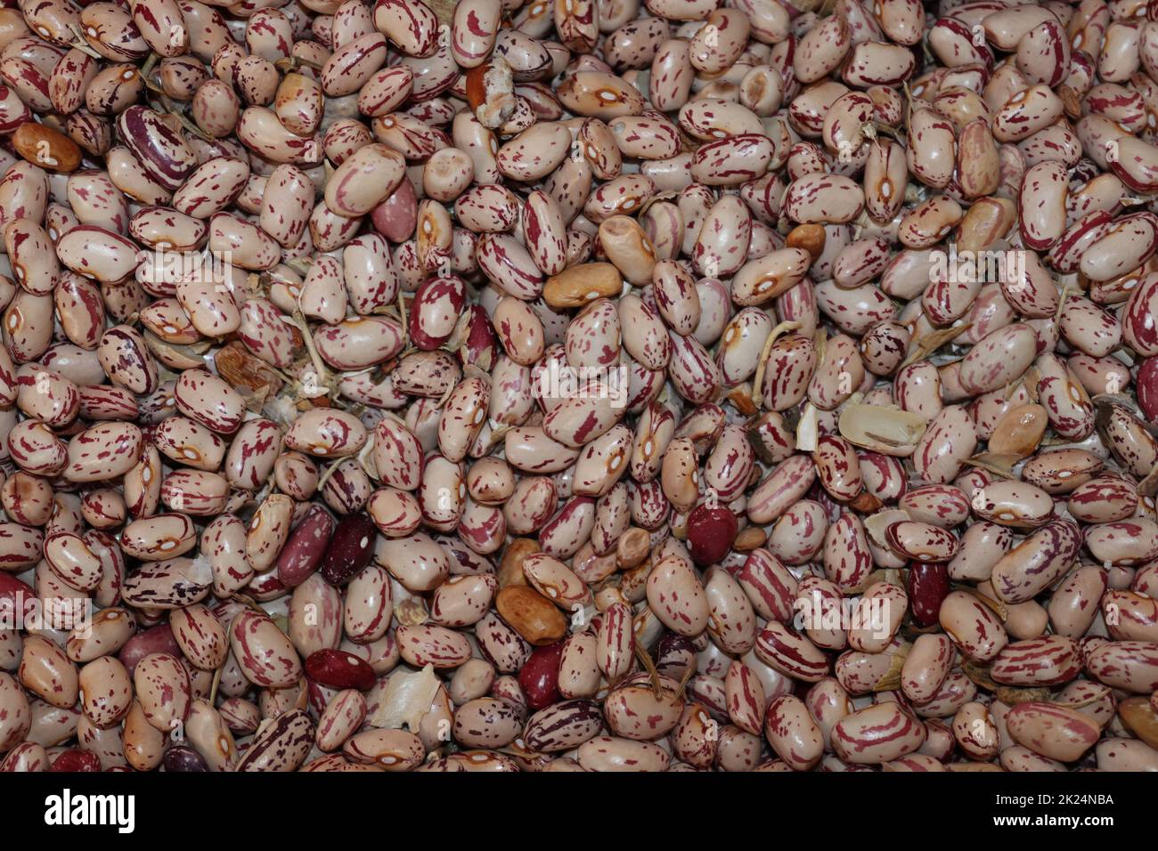 A closer look to beans that can formate a background Stock Photo